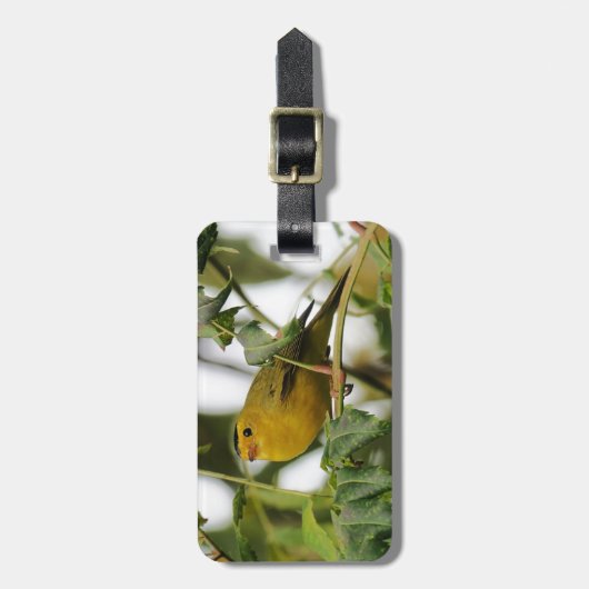 Bird Lovers Personalisiert Gepäckanhänger (Vorderseite vertikal)