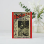 Bird Magazine 3.1903 Postkarte (Stehend Vorderseite)