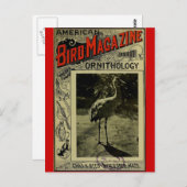 Bird Magazine 3.1903 Postkarte (Vorne/Hinten)