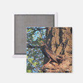 Bird Magnet (Vorderseite/Rückseite)