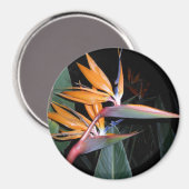 Bird Magnet (Vorderseite/Rückseite)