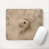 Bird Mousepad (Mit Mouse)
