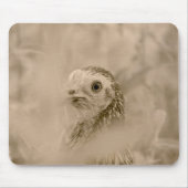 Bird Mousepad (Vorne)