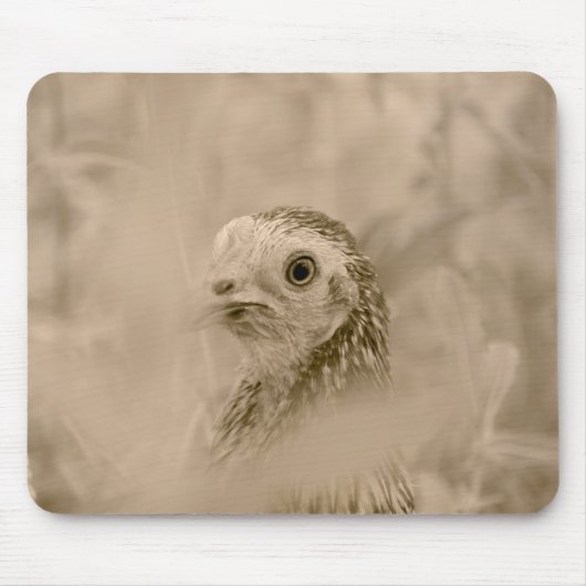 Bird Mousepad (Vorne)