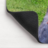 Bird Mousepad (Ecke)