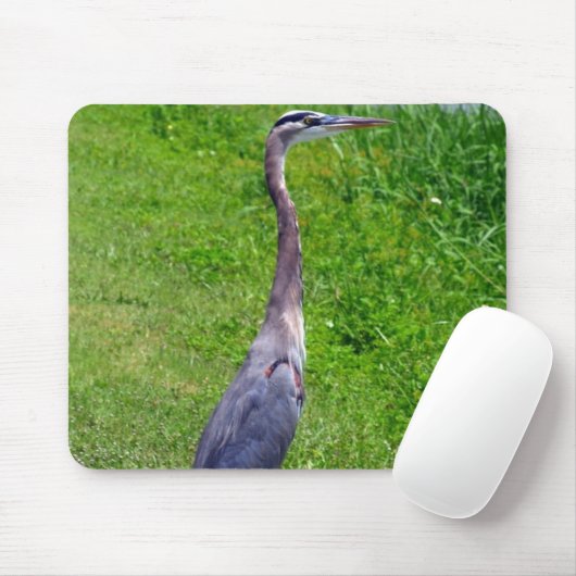 Bird Mousepad (Mit Mouse)