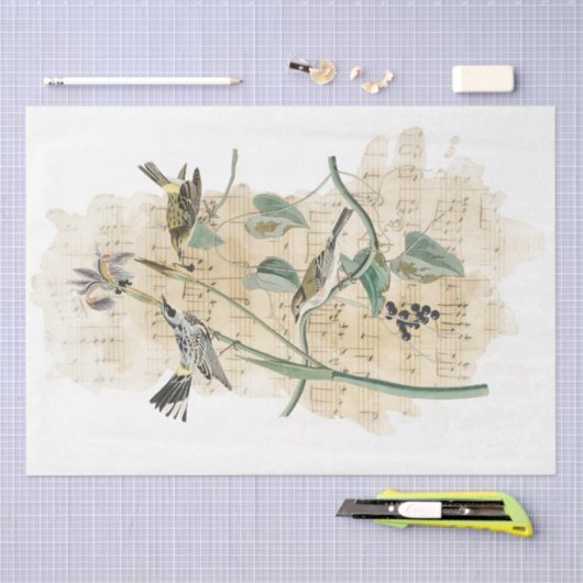 Bird Music Iris Blume Entdeckungsreise Seidenpapier (Handwerk)