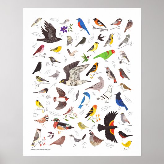 Bird Nerd Art Print Poster (Vorne)