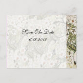 BIRD NEST, BAUM MIT BLUMEN IN WEISSEN BROWNEN ANKÜNDIGUNGSPOSTKARTE (Rückseite)