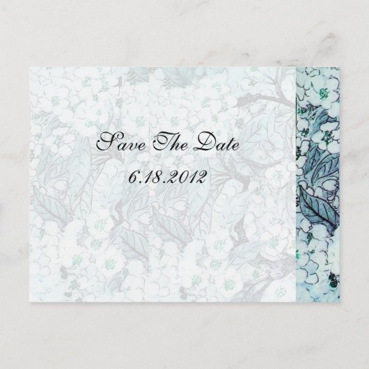 BIRD NEST , BAUM MIT WEISSEN BLUE SPRING BLUMEN ANKÜNDIGUNGSPOSTKARTE (Rückseite)