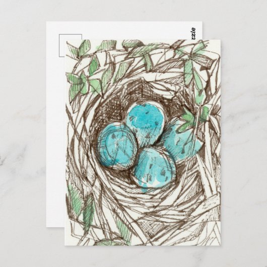 Bird Nest Blue Robin Eggs Spring Ink Zeichnend Postkarte (Vorne/Hinten)