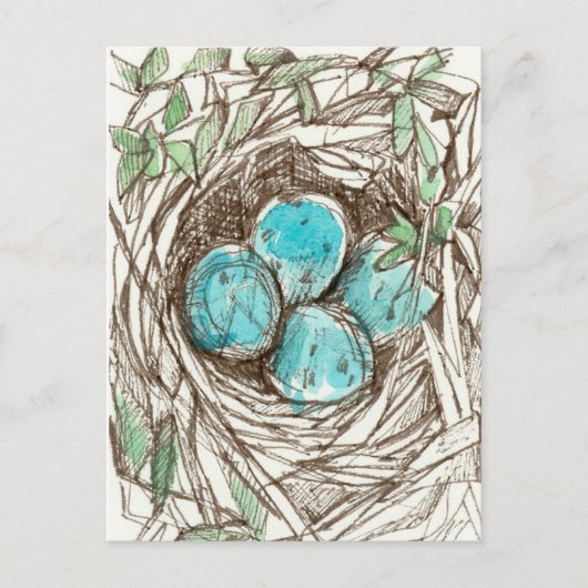 Bird Nest Blue Robin Eggs Spring Ink Zeichnend Postkarte (Vorderseite)