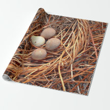 Bird Nest Brown Eggs Altes Vintages antikes Retro