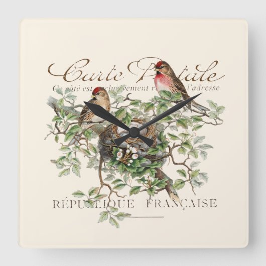 Bird Nest Carte Postale Französisch Vintag Quadratische Wanduhr (Vorderseite)