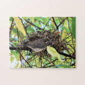 Bird Nest Foto Puzzle (Horizontal)