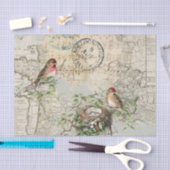 Bird Nest Map Music Französische Postkarte Vintage Seidenpapier (Handwerk)