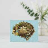 BIRD NEST MIT EIERN VINTAG POSTKARTE (Stehend Vorderseite)