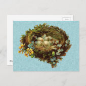 BIRD NEST MIT EIERN VINTAG POSTKARTE (Vorne/Hinten)