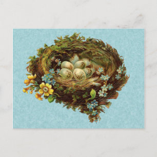 BIRD NEST MIT EIERN VINTAG POSTKARTE