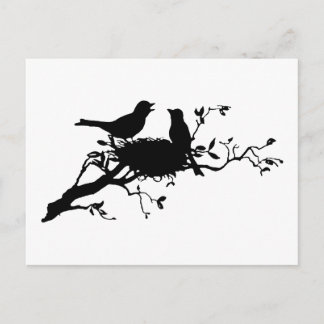 Bird Nest Postkarte