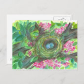 Bird Nest Robin Eggs Pink Blume Tree Postkarte (Vorne/Hinten)