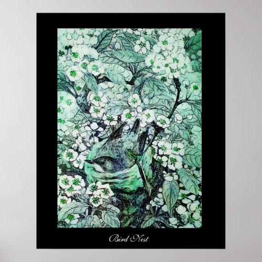 BIRD NEST, weiß grün, schwarz Poster (Vorne)
