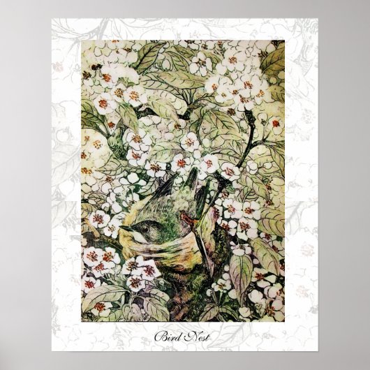 BIRD NEST, weißbraun, gelb Poster (Vorne)