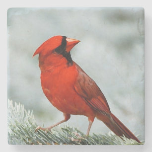 Bird Netz _coaster Steinuntersetzer