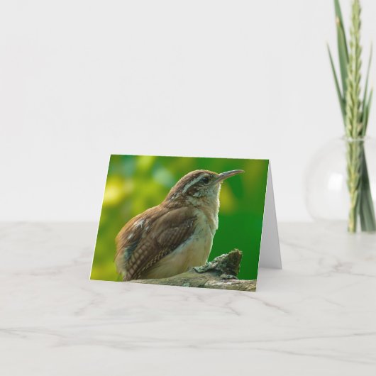 Bird Notecard Dankeskarte (Vorderseite)