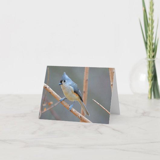 Bird Notecard Feiertagskarte (Vorderseite)