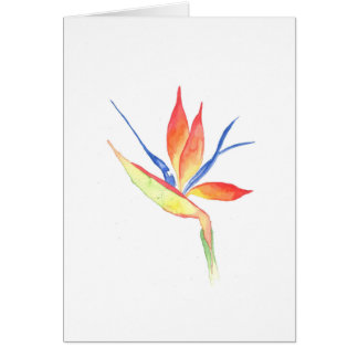 Bird of Paradise Aquarell Print Grußkarte