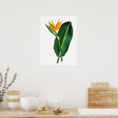 Bird of Paradise Blume Art Decor Poster (Küche)
