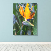 Bird of Paradise Blume Blick Leinwand drucksvoll (Insitu (Holzboden))