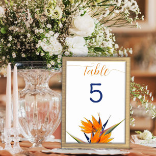 Bird of Paradise Blume Tischnummer Cards