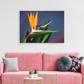 Bird of Paradise Canvas Print Leinwanddruck (Insitu (Wohnzimmer))