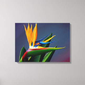 Bird of Paradise Canvas Print Leinwanddruck