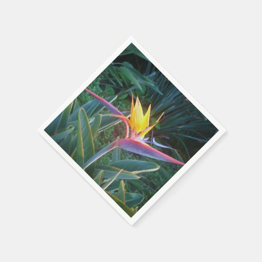 *Bird of Paradise* Cocktail Napkins Serviette (Ecke)