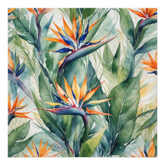 bird of paradise fotodruck