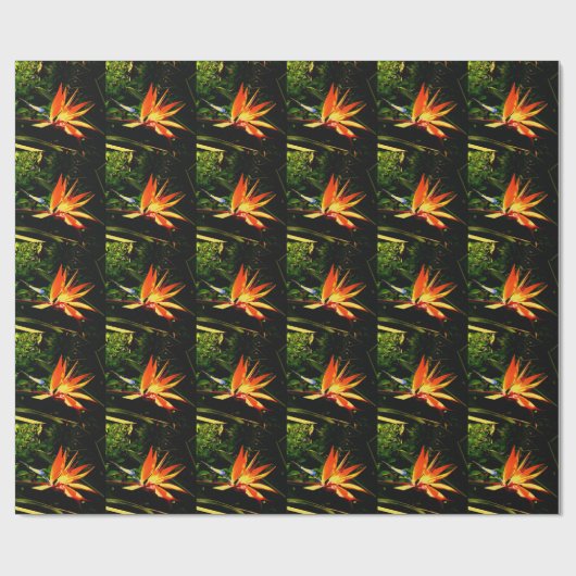 Bird of Paradise Geschenkpapier (Flach)