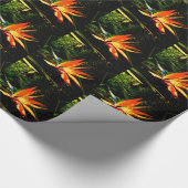 Bird of Paradise Geschenkpapier (Ecke)