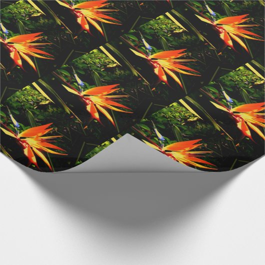 Bird of Paradise Geschenkpapier (Ecke)