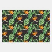 Bird of Paradise Geschenkpapier Set (Vorderseite 3)