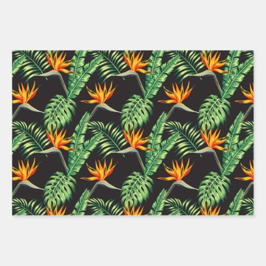 Bird of Paradise Geschenkpapier Set (Vorderseite 3)