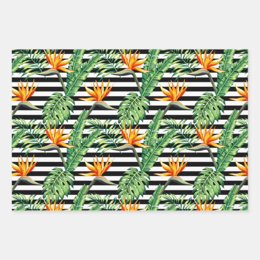 Bird of Paradise Geschenkpapier Set (Vorderseite)