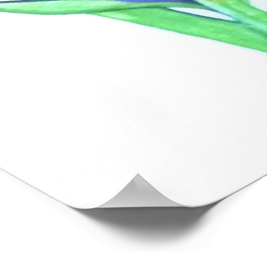 Bird of Paradise I Poster (Ecke)