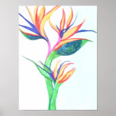 Bird of Paradise I Poster (Vorne)