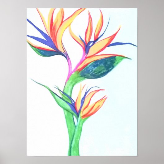 Bird of Paradise I Poster (Vorne)