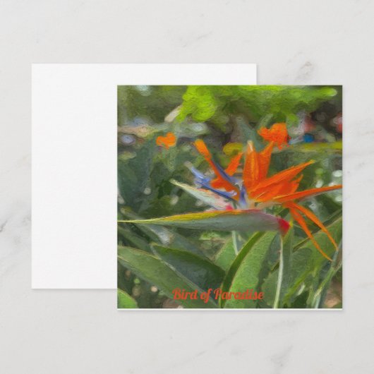 Bird of Paradise Oil Painting Mitteilungskarte (Vorne/Hinten)