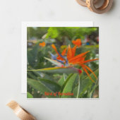 Bird of Paradise Oil Painting Mitteilungskarte (Vorderseite/Rückseite Beispiel)