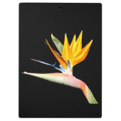 Bird of Paradise Pflanze Clipboard Klemmbrett (Rückseite)